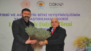 300 bin lavanta toprakla buluşacak
