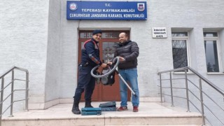 6 hırsızlık olayının 5 şüphelisini jandarma yakaladı