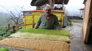 6 metrekarelik alanda hayvanları için yem üretiyor