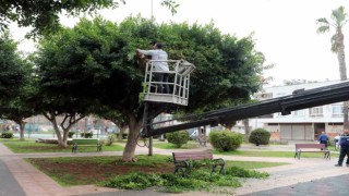 Akdenizde park, bahçe ve yeşil alanlar yenileniyor