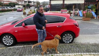 Antalyada Alman vatandaşı bu kez de köpekle birlikte otomobili çaldı