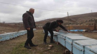 Arıcıların tek umudu bahar aylarının yağışlı geçmesi