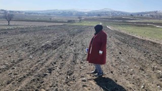 Arpa ve buğdayın ürün verimliğinin analizi yapıldı