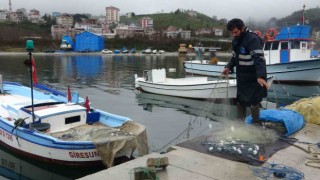 Arslan: Doğu Karadeniz her bir yıl balık avı açısından verimsizleşiyor