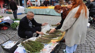 Aydının acı otu, fiyatıyla da görenlerin yüzünü buruşturuyor