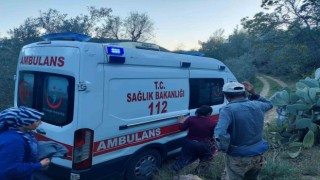 Badem ağacından düşen adam ağır yaralandı