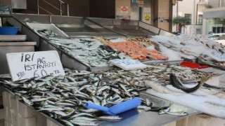 Balık sezonunda sona yaklaşıldı, tezgahlar mezgit ve istavrite kaldı