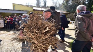 Balıkesir Büyükşehirden çiftçiye hünnap ve mürdüm eriği desteği