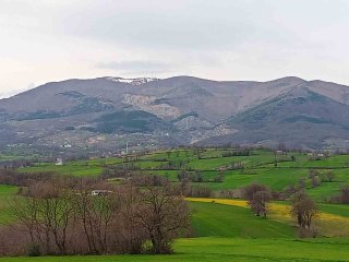 Balkan soğuklarının etkisine girecek Samsun’da ‘zirai don’ uyarısı