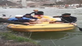 Baraj sularının her yeri kapladığı ilçede mahsur kalan sokak hayvanları bot yardımıyla kurtarıldı