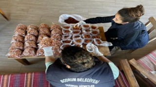 Belediyeden deprem mağduru üreticiye destek