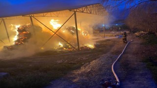 Binlerce balya saman alev alev yandı