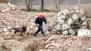 Bozkurttaki sel felaketinde görev alan “Garip”, deprem bölgesinde de enkaz altındaki vatandaşların kurtarılmasını sağladı