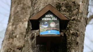 Büyükşehirin kuş yemlikleri yürekleri ısıttı