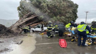 Californiada sel ve fırtına: 2 ölü