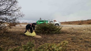 Çankırıda hayvanlar için doğaya buğday bırakıldı