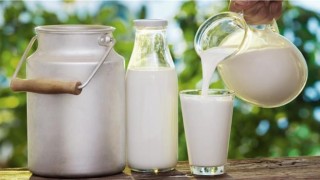 Çiğ süt desteği ödemelerine yönelik esaslar belli oldu