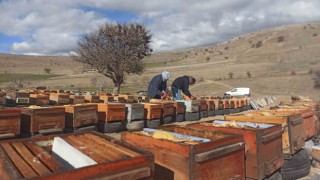 Deprem nedeniyle yüzlerce kovandaki milyonlarca arı telef oldu