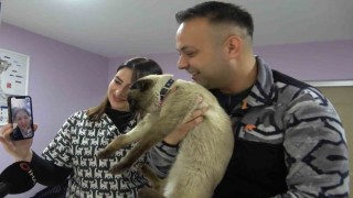 Depremde kaybolmuştu, mikroçip sayesinde Paşanın sahibi bulundu