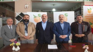 Depremden sonra tonlarca kayısı depoda kaldı: Elazığdan Şire Pazarı talebi