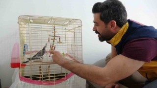 Depremin 10uncu gününde enkazdan canlı çıkan papağanı sağlık personeli sahiplendi