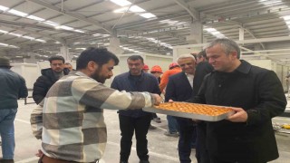 Depremzedelere yuva yapıyorlar