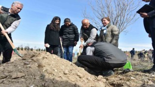 Depremzedelerin anısına Ormancılık Gününde hatıra ormanı