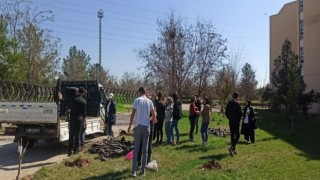 Dicle Üniversitesi, hayatını kaybeden personel ve öğrencileri adına hatıra ormanı oluşturdu