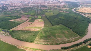 Diyarbakırda çiftçinin yüzü son yağışlarla güldü