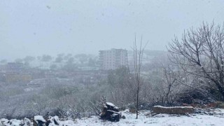 Diyarbakırda etkili olan kar yağışı çiftçiyi hem sevindirdi hem de korkuttu