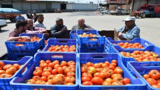 Domates ihracatındaki yasak kaldırıldı