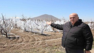 Dona karşı sulanan elma ağaçları buzulları aratmadı