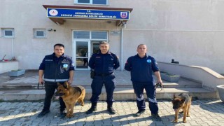 Eğitimlerini tamamlayan 2 köpek jandarmaya sahiplendirildi
