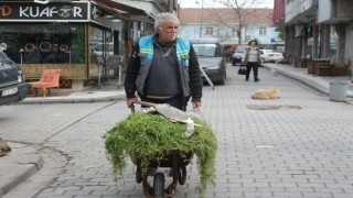 Emekli işçi gönüllü olarak her gün ilçeyi temizliyor