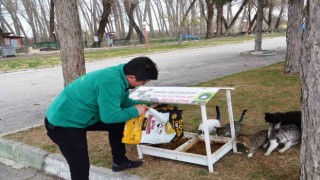 Ereğli Belediyesi sokak hayvanlarına sahip çıkıyor