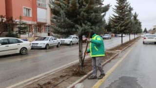 Ereğlide bahar hazırlıkları devam ediyor