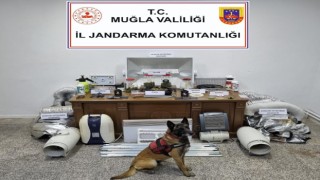Evini uyuşturucu tarlasına çevirmiş