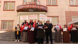 Evlat nöbetindeki ailelerden AYMnin HDP kararına tepki