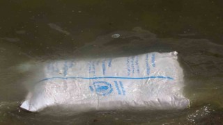 Feribottan Van Gölüne düşen vagonların içindeki torbalar sahile vurdu