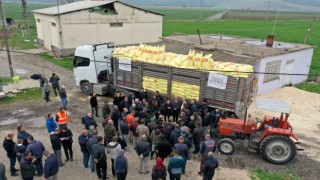 Gaziantepte arpa ve buğday üreticilerine gübre desteği
