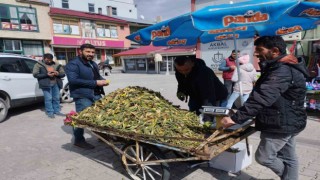 Gülbahar bitkisi tezgâhlarda yerini aldı