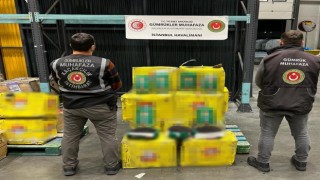 Gümrük Muhafaza Ekipleri 195 kilogram ağırlığında metamfetamin ele geçirdi
