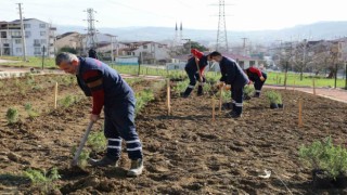 Gündoğdu lavanta ile canlandırılacak