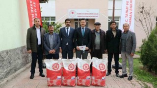 Günyüzü çiftçisi gündöndü ile kazanacak