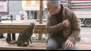 Gürsunun ‘Tatlı Serserisi vatandaşın maskotu oldu