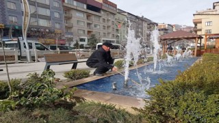 Hakkariye renk katan fıskiyeler yeniden devreye alındı