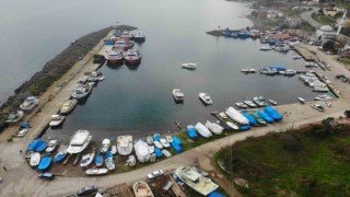 Hamsi ve istavrit olmayınca balıkçılar sezonu erken kapattı