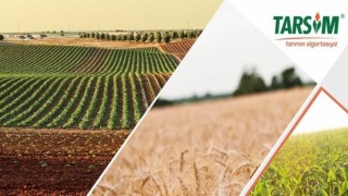 Hasar fazlası desteğine ilişkin Cumhurbaşkanı kararı yayımlandı