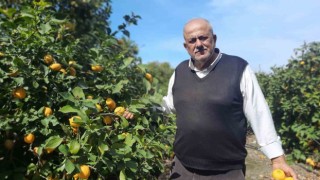 Hatayda depolar yıkılıp dağıtım zinciri bozulunca, çiftçilerin mahsulleri ellerinde kaldı