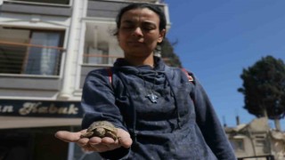 Hatayda depremzede, ağır hasarlı evine girdiğinde gözlerine inanamadı